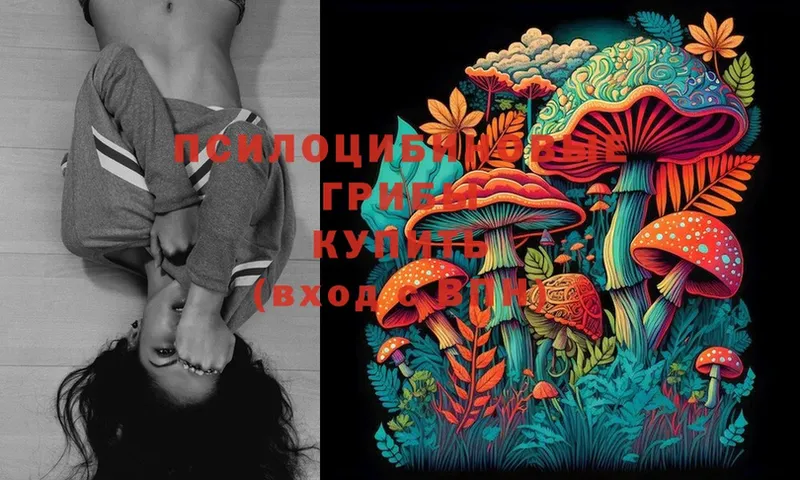 Галлюциногенные грибы Psilocybe  сколько стоит  мега как зайти  Ворсма 